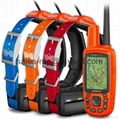 GARMIN Astro 430 and 3 x T5 Collars