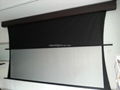 Dual vision projection screen  1