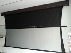 Dual vision projection screen