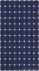 Mono Solar Modules factory