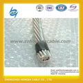 AAAC / All Aluminum Alloy Conductor 1