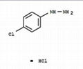 P-Chloropheyl hydrazine HCl