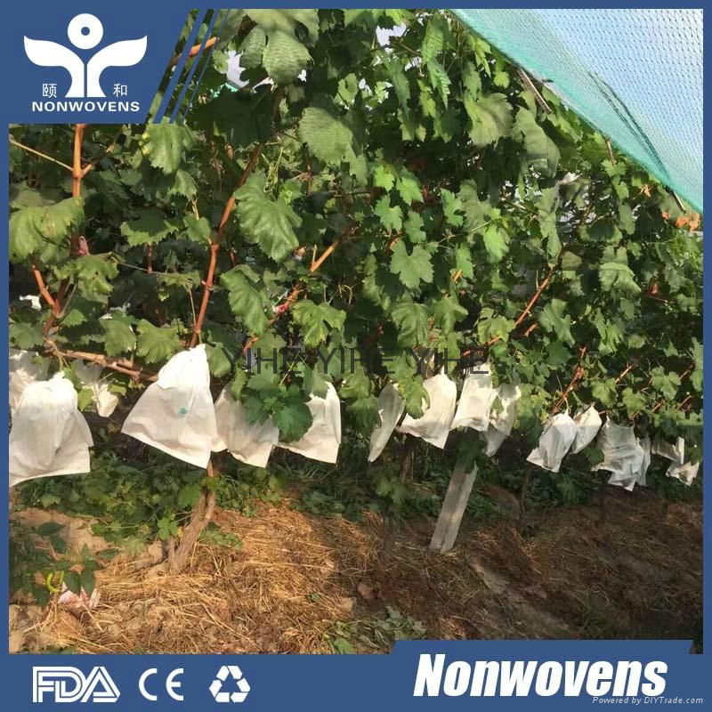 PP non woven fabric for tree anti-frost farm cover 4