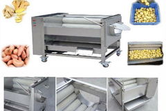 Brush Washing & Peeling Machine