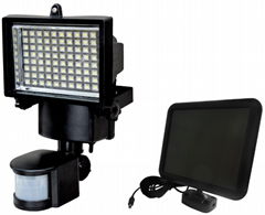 Solar Motion Sensor Light