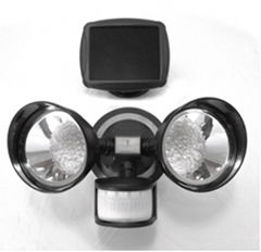 Solar Motion Sensor Light