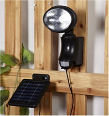 Solar Motion Sensor Light