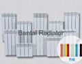 Steel-aluminum casting radiator for central heating GLYZ8-8/6 1