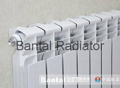 Bimetellic central heating radiator GLYZ9-8/5