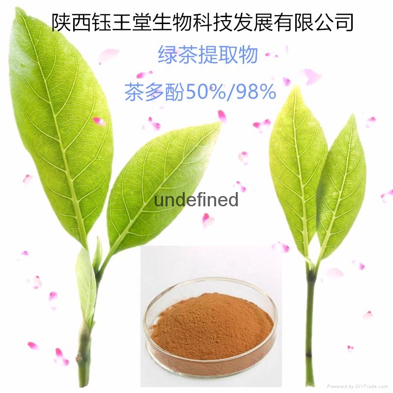 富含80%茶多酚绿茶提取物