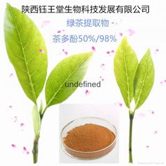 富含80%茶多酚綠茶提取物