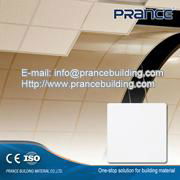 Decorative insulated ceiling panels