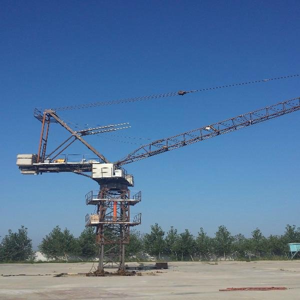 2.9Ton Height Construction Machine Luffing Erect Tower Crane 4