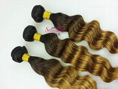 Showjarlly Ombre color #1b/4/27 Loose Weave 9A Brazilian Virgin Remy Hair Weft 3