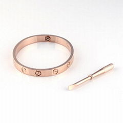 Rose gold stainless steel screw oval bracelet bangle with screwdriver