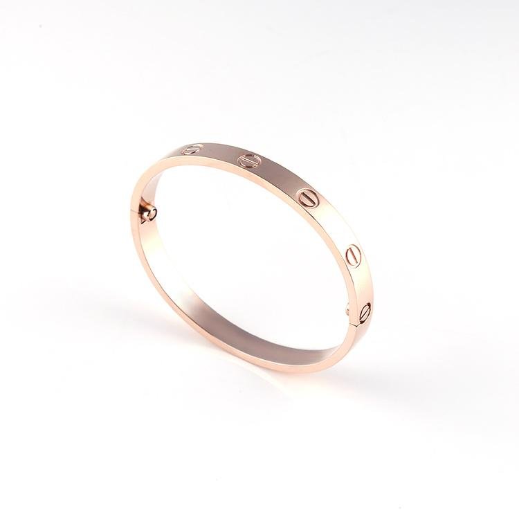 Rose gold stainless steel screw oval bracelet bangle with screwdriver 4