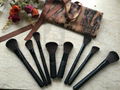 Professional cosmetic brush from Nature