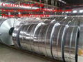 Galvanized Steel Strip