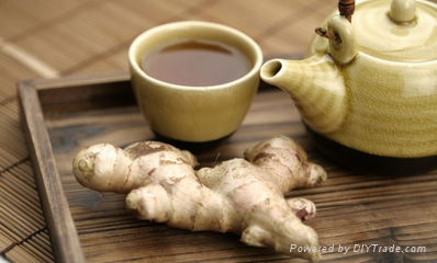 Wholesale fresh Ginger  in China Markrt 