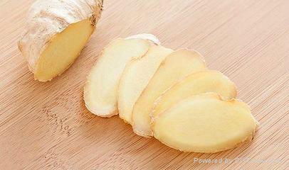 Wholesale fresh Ginger  in China Markrt  3