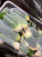 Whole sale fresh green radish In China