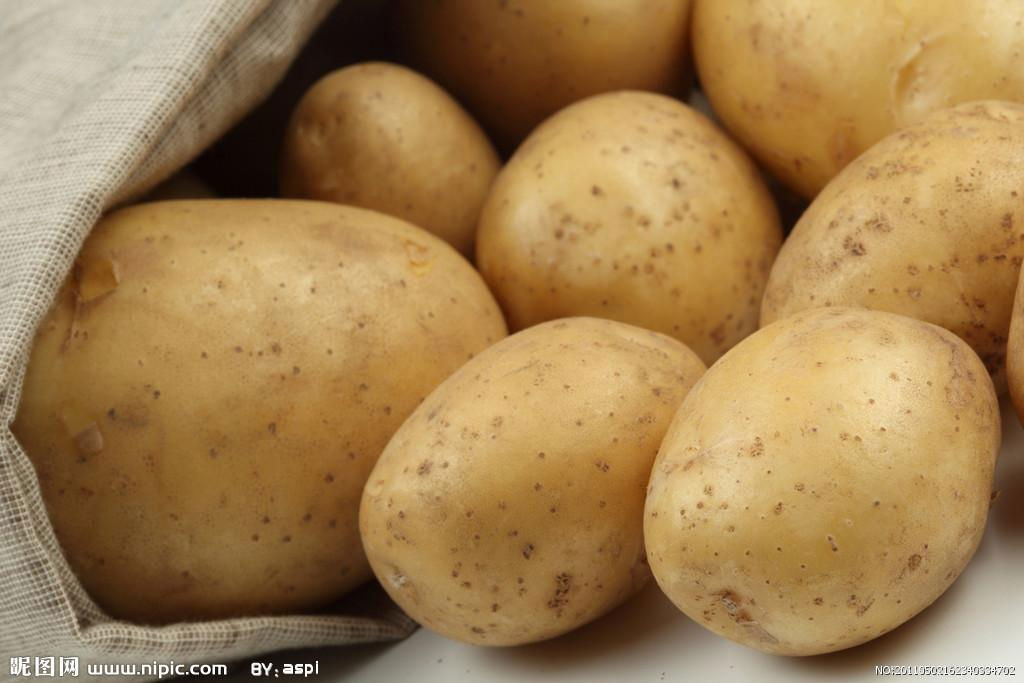 Fresh Potato in China 