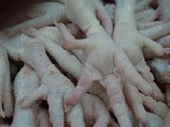 GRADE "A" FROZEN CHICKEN FEET