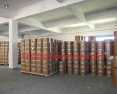  citicoline sodium API 95% CDP-Choline Powder