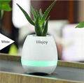 Music pot with bluetooth function and piano sound 2