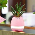 Music pot with bluetooth function and piano sound