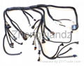 Engine wiring harness