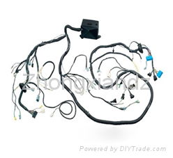 Automotive cotrol harness 2