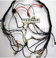 Automotive cotrol harness 4