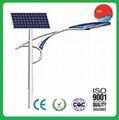 ISO9001 CCC Verified 8m 40W Solar Street Waterproof Lighting 2