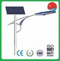 China Factory Price 12m 100W CCC IP65 Street Solar Lamp 2
