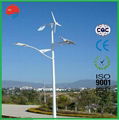 Factory Street Light by Hybrid Solar Wind Power Generator  4