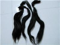 Nature Hair Periwig 2