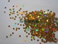 glitter powder 5