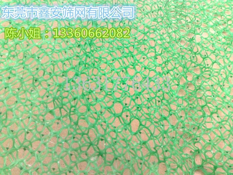 广东鑫安绿色塑料网 5