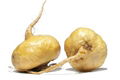 maca root extract powder  1