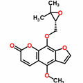 Sophora flavescens extract matrine1%-98%