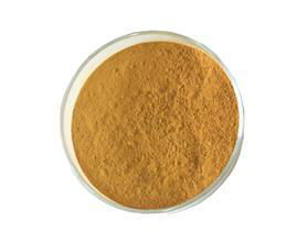 Cnidium Lactone Osthol extract 10%-98%