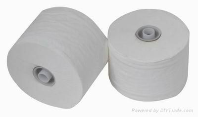 Corematic toilet paper rolls