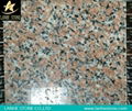 Guangxi Sanbao Red Granite G563 Granite G561 Granite Slabs and Tiles for paving 2