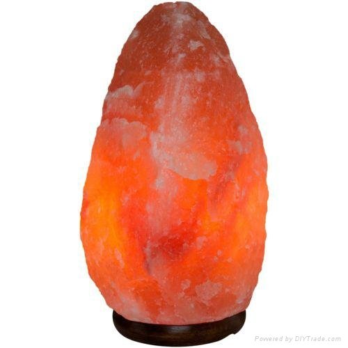 Crystal Himayalan Rock Salt Natural Lamps 3