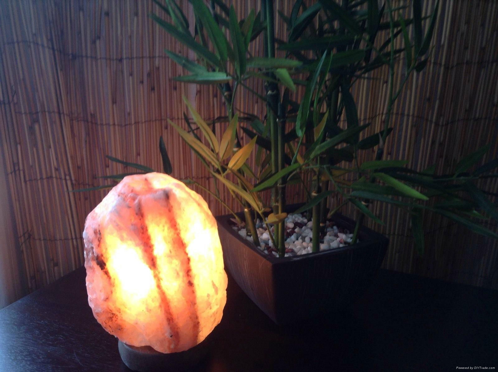 Crystal Himayalan Rock Salt Natural Lamps 5