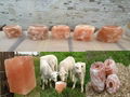 Himalayan Animal Natural Salt Lick 5