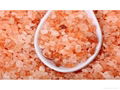 Granulate Pink Salt Granulate White Rock Salt 4