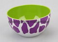 Melamine Bowl 2