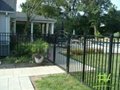  flat fence loop top fence and swimming pool Fence 4